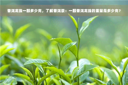 普洱龙珠一颗多少克，了解普洱茶：一颗普洱龙珠的重量是多少克？