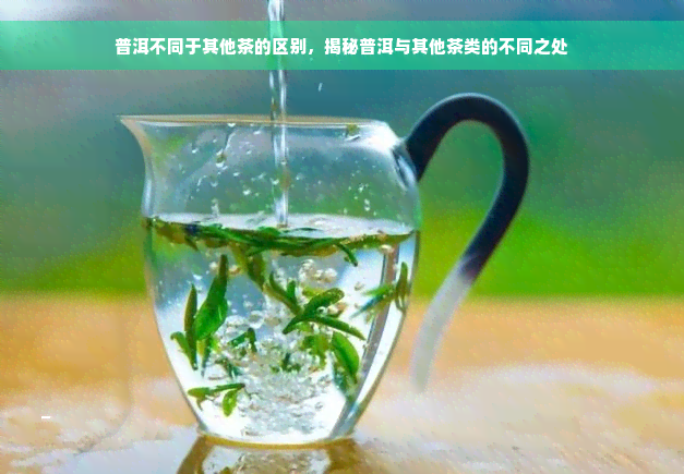 普洱不同于其他茶的区别，揭秘普洱与其他茶类的不同之处