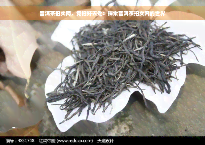 普洱茶拍卖网，竞拍好去处：探索普洱茶拍卖网的世界