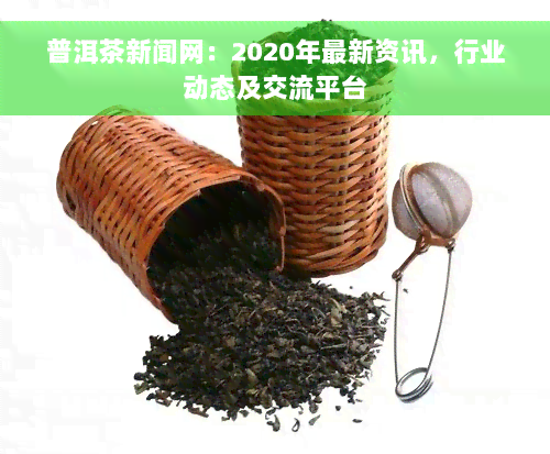 普洱茶新闻网：2020年最新资讯，行业动态及交流平台