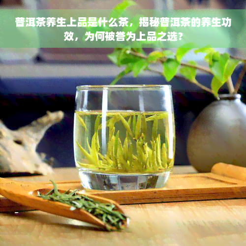 普洱茶养生上品是什么茶，揭秘普洱茶的养生功效，为何被誉为上品之选？