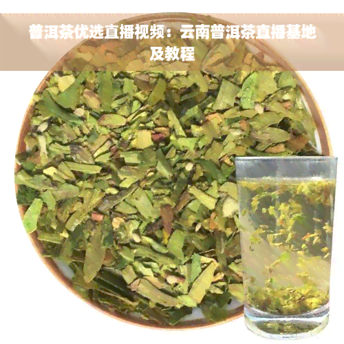 普洱茶优选直播视频：云南普洱茶直播基地及教程