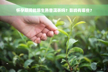 怀孕期间能喝生熟普洱茶吗？影响有哪些？