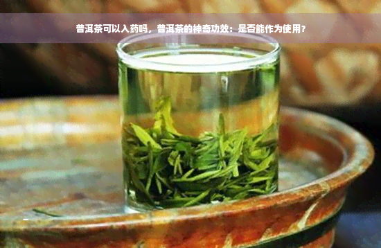 普洱茶可以入药吗，普洱茶的神奇功效：是否能作为使用？