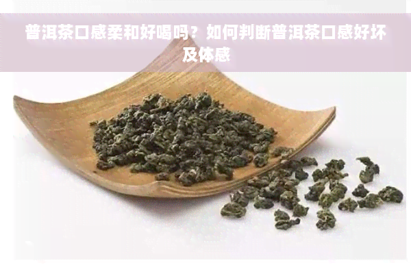 普洱茶口感柔和好喝吗？如何判断普洱茶口感好坏及体感