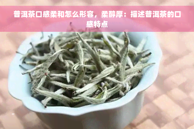 普洱茶口感柔和怎么形容，柔醇厚：描述普洱茶的口感特点