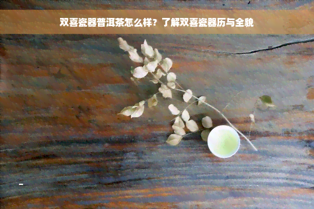 双喜瓷器普洱茶怎么样？了解双喜瓷器历与全貌