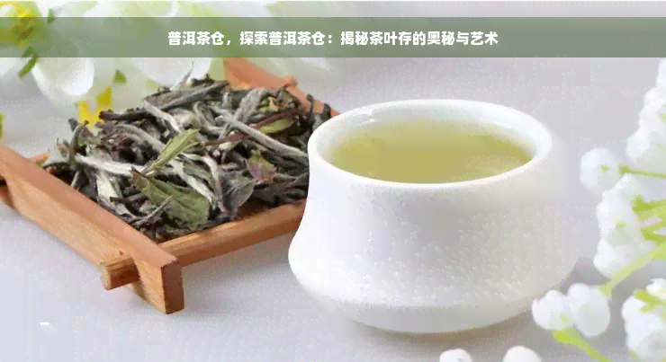 普洱茶仓，探索普洱茶仓：揭秘茶叶存的奥秘与艺术