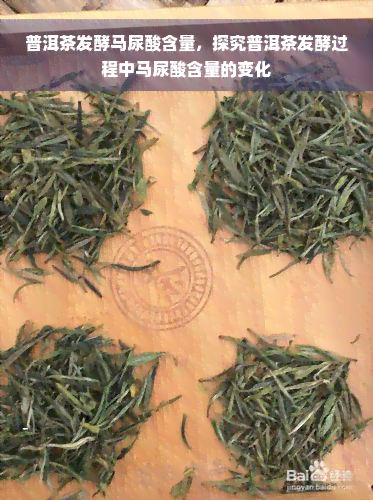 普洱茶发酵马尿酸含量，探究普洱茶发酵过程中马尿酸含量的变化