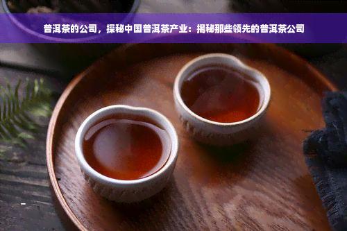 普洱茶的公司，探秘中国普洱茶产业：揭秘那些领先的普洱茶公司