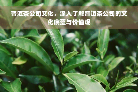 普洱茶公司文化，深入了解普洱茶公司的文化底蕴与价值观