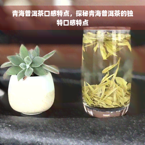 青海普洱茶口感特点，探秘青海普洱茶的独特口感特点