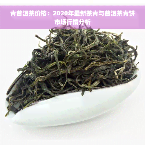 青普洱茶价格：2020年最新茶青与普洱茶青饼市场行情分析