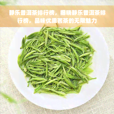 静乐普洱茶排行榜，揭晓静乐普洱茶排行榜，品味优质茗茶的无限魅力