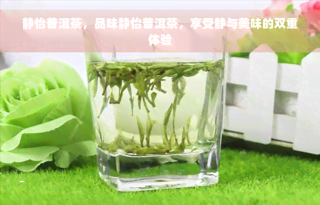 静怡普洱茶，品味静怡普洱茶，享受静与美味的双重体验