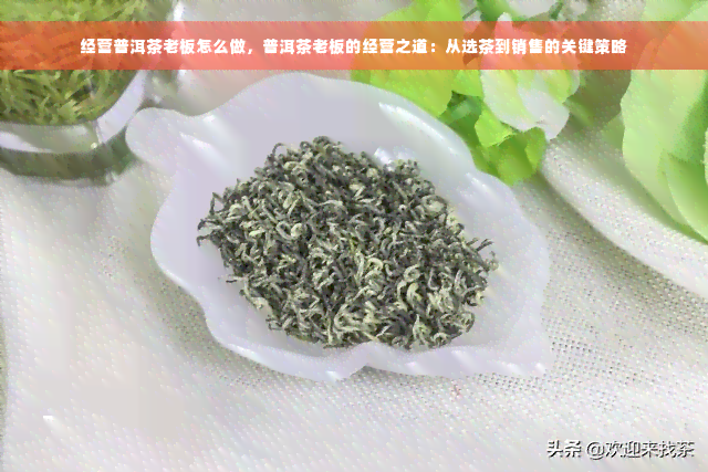 经营普洱茶老板怎么做，普洱茶老板的经营之道：从选茶到销售的关键策略