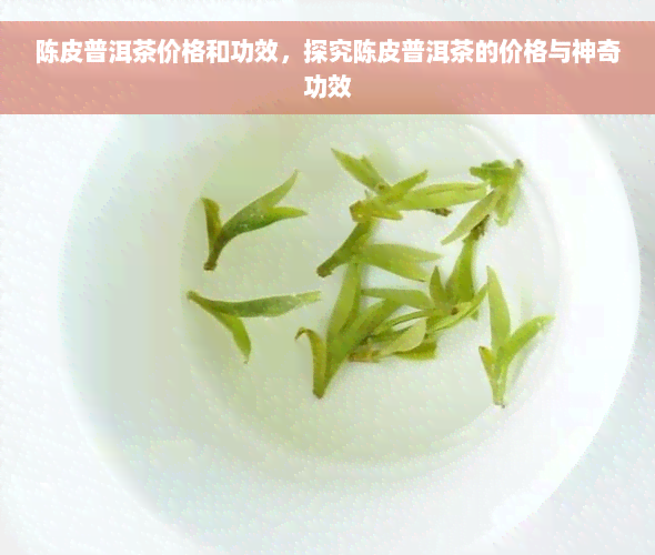 陈皮普洱茶价格和功效，探究陈皮普洱茶的价格与神奇功效