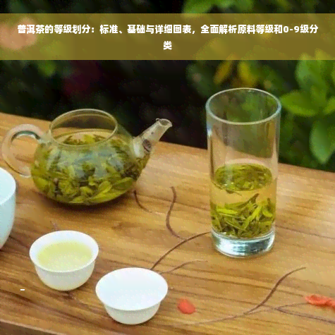 普洱茶的等级划分：标准、基础与详细图表，全面解析原料等级和0-9级分类