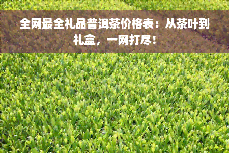 全网最全礼品普洱茶价格表：从茶叶到礼盒，一网打尽！