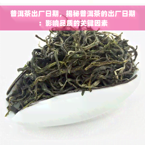 普洱茶出厂日期，揭秘普洱茶的出厂日期：影响品质的关键因素