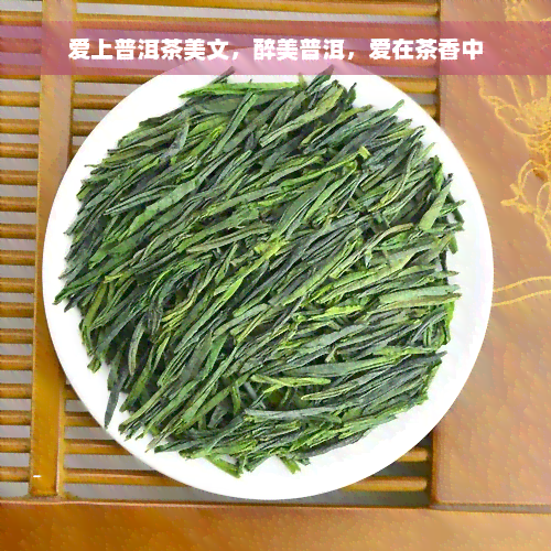 爱上普洱茶美文，醉美普洱，爱在茶香中