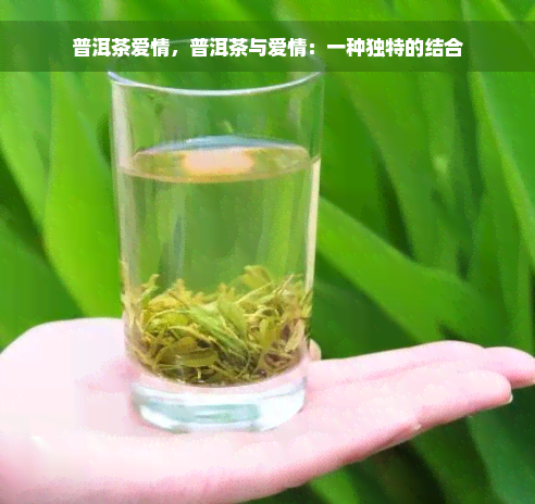 普洱茶爱情，普洱茶与爱情：一种独特的结合