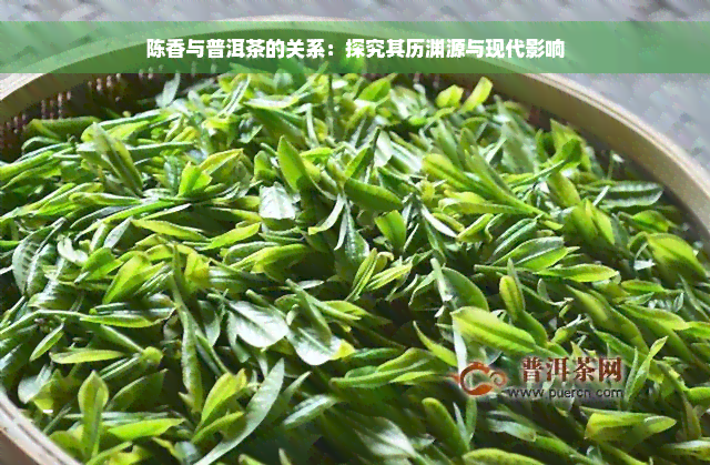 陈香与普洱茶的关系：探究其历渊源与现代影响