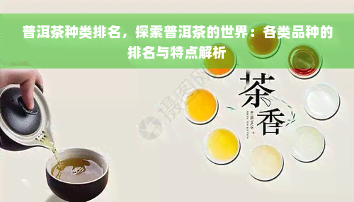 普洱茶种类排名，探索普洱茶的世界：各类品种的排名与特点解析