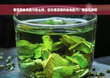 普洱茶染色能力怎么样，探究普洱茶的染色能力：事实与真相