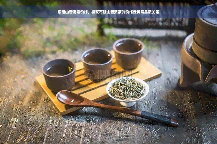 布朗山普洱茶价格，探究布朗山普洱茶的价格走势与品质关系