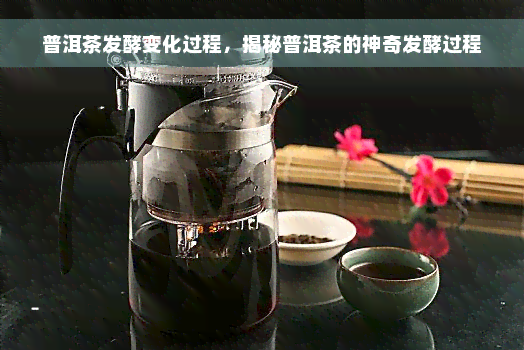 普洱茶发酵变化过程，揭秘普洱茶的神奇发酵过程