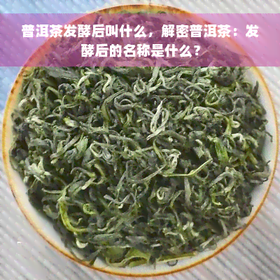 普洱茶发酵后叫什么，解密普洱茶：发酵后的名称是什么？