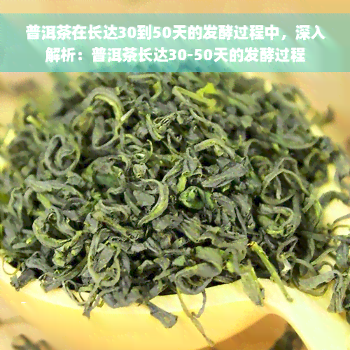 普洱茶在长达30到50天的发酵过程中，深入解析：普洱茶长达30-50天的发酵过程