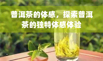 普洱茶的体感，探索普洱茶的独特体感体验