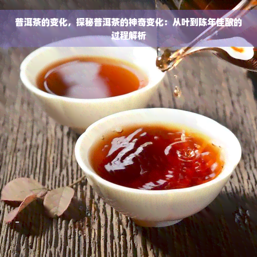 普洱茶的变化，探秘普洱茶的神奇变化：从叶到陈年佳酿的过程解析