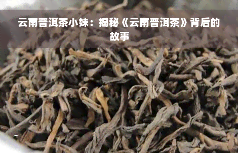 云南普洱茶小妹：揭秘《云南普洱茶》背后的故事