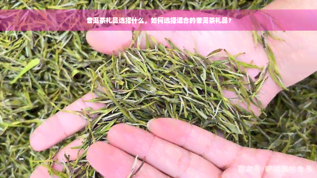 普洱茶礼品选择什么，如何选择适合的普洱茶礼品？