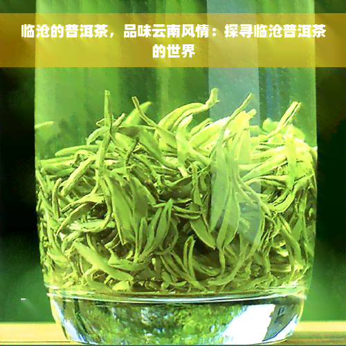 临沧的普洱茶，品味云南风情：探寻临沧普洱茶的世界