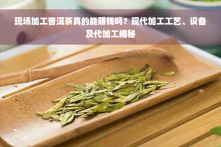 现场加工普洱茶真的能赚钱吗？现代加工工艺、设备及代加工揭秘