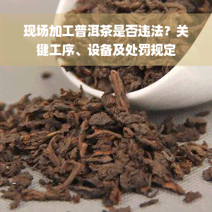 现场加工普洱茶是否违法？关键工序、设备及处罚规定