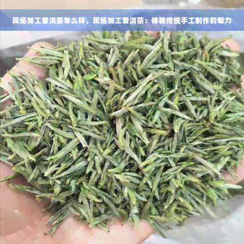 现场加工普洱茶怎么样，现场加工普洱茶：体验传统手工制作的魅力