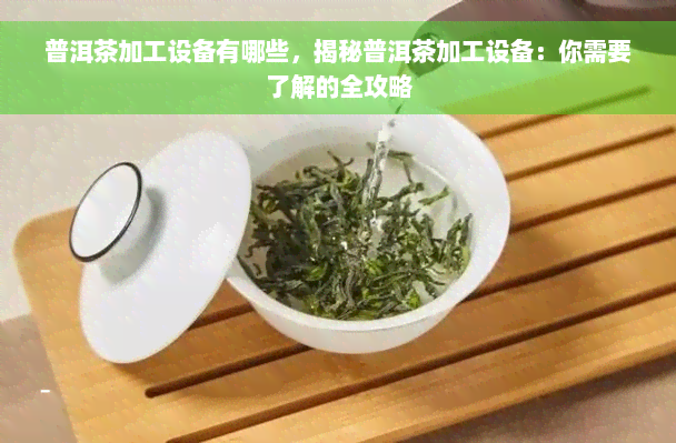 普洱茶加工设备有哪些，揭秘普洱茶加工设备：你需要了解的全攻略