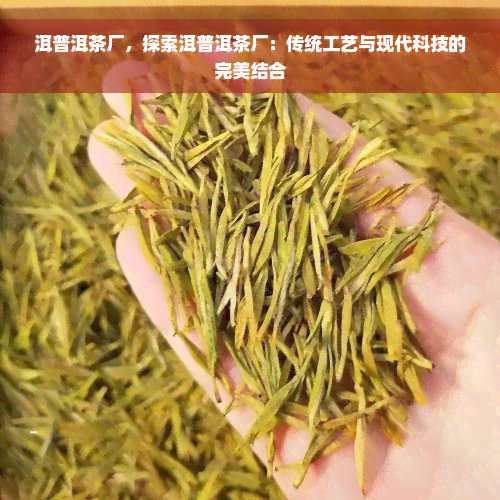 洱普洱茶厂，探索洱普洱茶厂：传统工艺与现代科技的完美结合