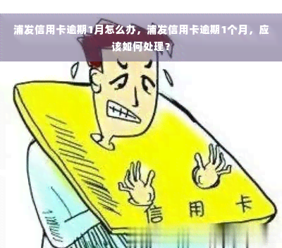 浦发信用卡逾期1月怎么办，浦发信用卡逾期1个月，应该如何处理？