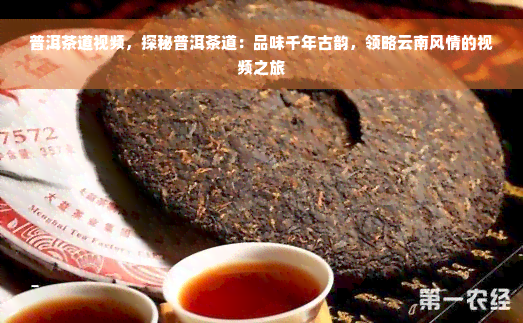 普洱茶道视频，探秘普洱茶道：品味千年古韵，领略云南风情的视频之旅