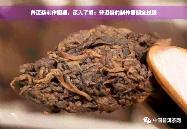 普洱茶制作周期，深入了解：普洱茶的制作周期全过程