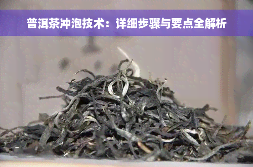 普洱茶冲泡技术：详细步骤与要点全解析