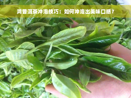 鸿普洱茶冲泡技巧：如何冲泡出美味口感？