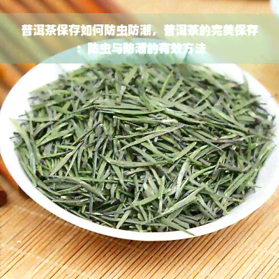 普洱茶保存如何防虫防潮，普洱茶的完美保存：防虫与防潮的有效方法