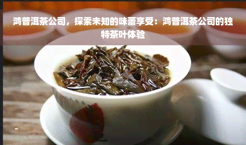 鸿普洱茶公司，探索未知的味蕾享受：鸿普洱茶公司的独特茶叶体验